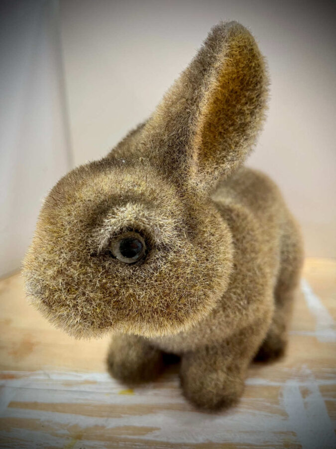 Fuzzy Rabbit Bank