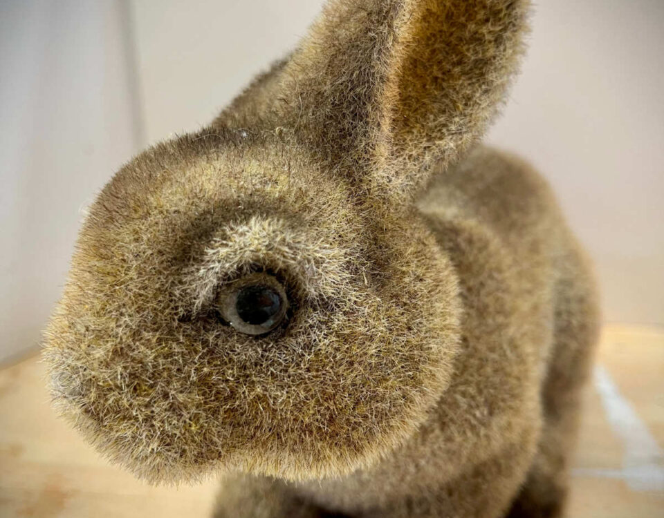 Fuzzy Rabbit Bank